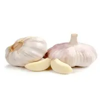 Fresh Garlic