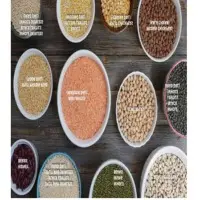 Indian Pulses