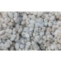 Cotton Seeds