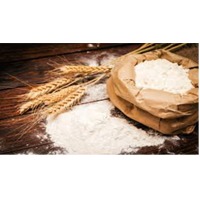 Wheat Flour