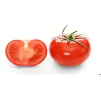 Fresh Tomato