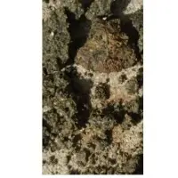Scandium Ore