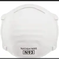 N95 & En149-2001 Respirator Masks