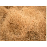 Mattress Fiber / Mixed Fiber