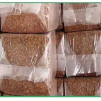 25 Coco Peat Bale