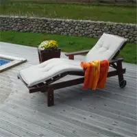 Deck Lounge Chair