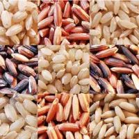 Traditional Rice
