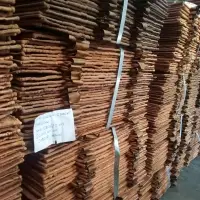 Copper Cathodes
