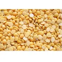 Dal