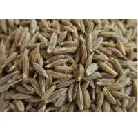Cumin Whole