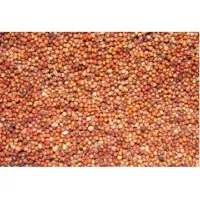 Ragi Whole