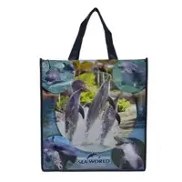 Non Woven Shopping Bag