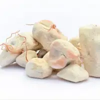 Baobab Seed