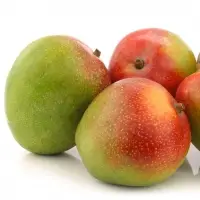 Kent Mangoes