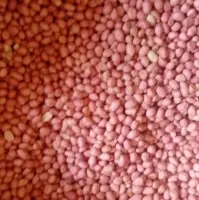 Peanuts