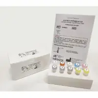 COVID-19 Real-Time RT-PCR Test