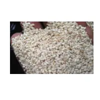 White Sesame Seed