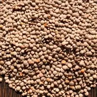 Unprocessed Red Lentils