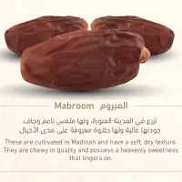 Mabroom Dates