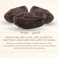 Khudari Dates