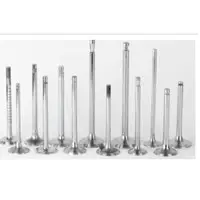 Engine Valves