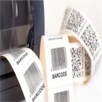 Irect Thermal And Thermal Transfer Blank Labels