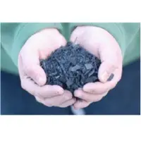 Bamboo Biochar