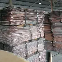 Copper Cathode
