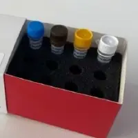 COVID-19 RT-RCR PNA Kit