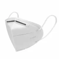 KN95 Face Mask