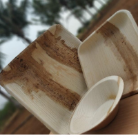 Areca Leaf Plates