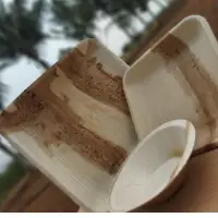 Areca Leaf Plates