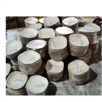 Areca Leaf Plates