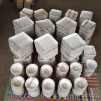 Areca Leaf Plates