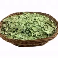 Senna Leaves