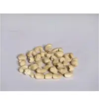 Cashew Kernels -White Wholes - W210