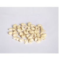 Cashew Kernels -White Wholes - W240