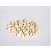 Cashew Kernels -White Wholes - W240