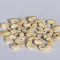 W180 Cashew Kernel