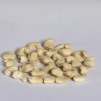 W210 Cashew Kernel