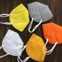 N95 Face Mask