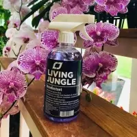 Disinfectant Spray