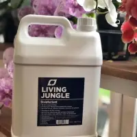 Disinfectant Spray