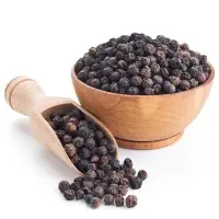 Coriander Seeds