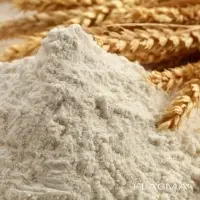 Wheat Flour Best Quality