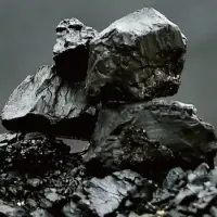Coal