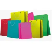 Paper Shopping Bag