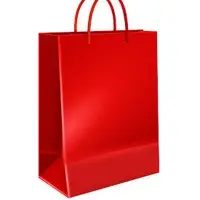 Paper Shopping Bag