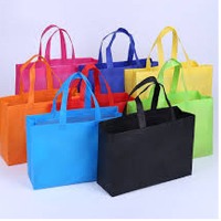 Non - Woven Bag