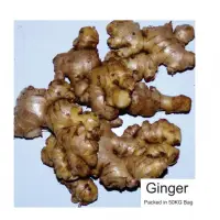 Fresh Ginger